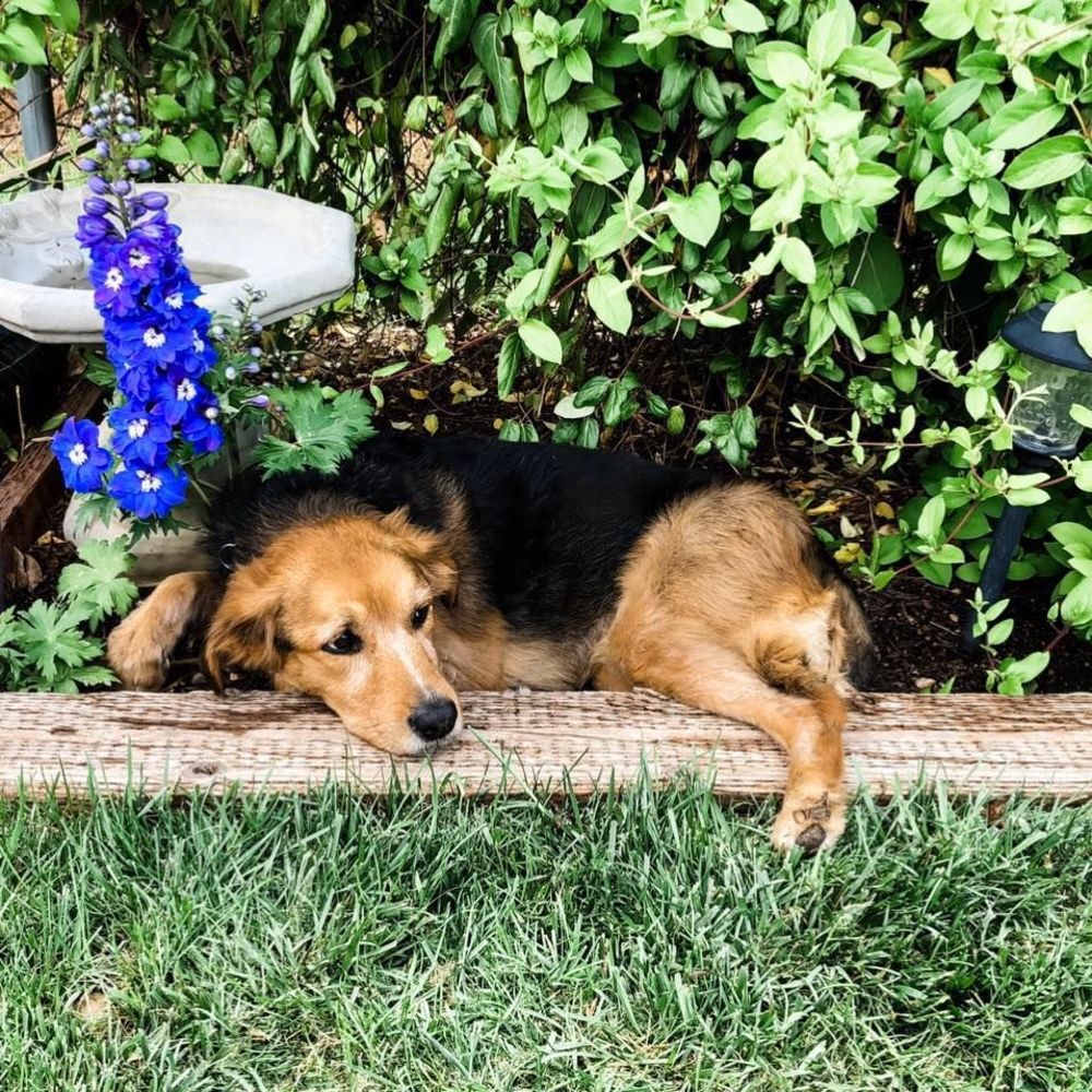 Meet your Posher, Danae